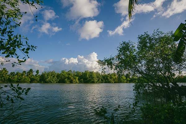 每日大赛复盘：一句道歉怎么来的？这次我站不住了太好哭给你讲透；别急着下结论